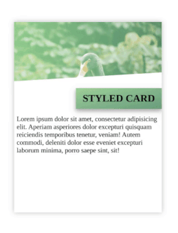 Preview styled card