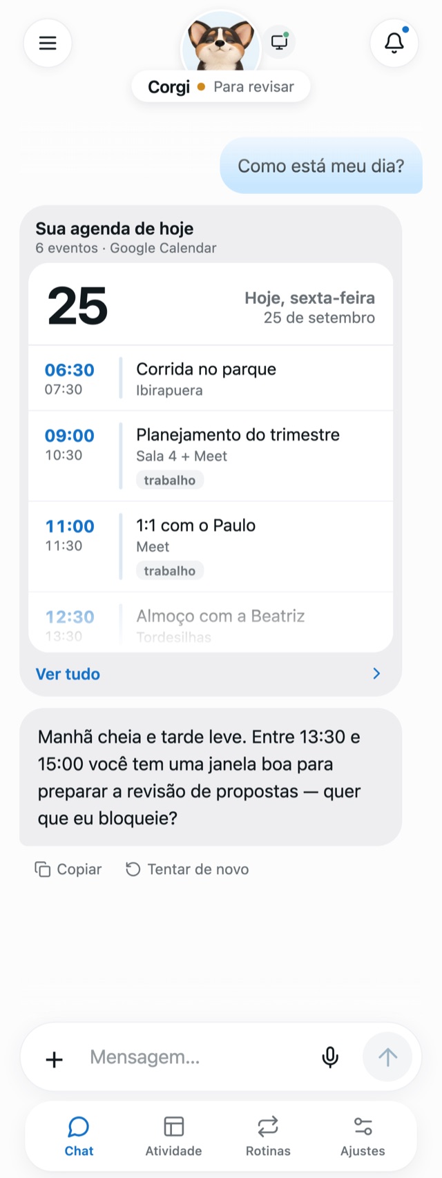 Chat mostrando a agenda do dia