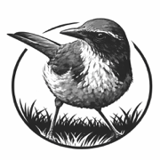 io.github.jobswithgpt/corvi-careers icon