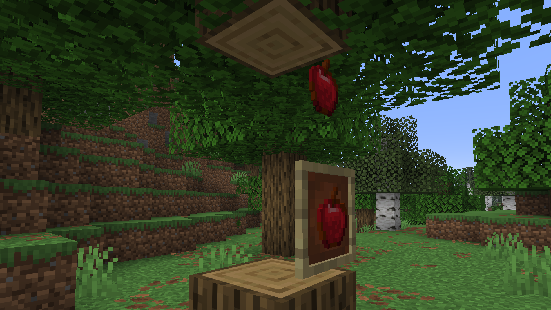 Picture of item frames floating with no block behind them