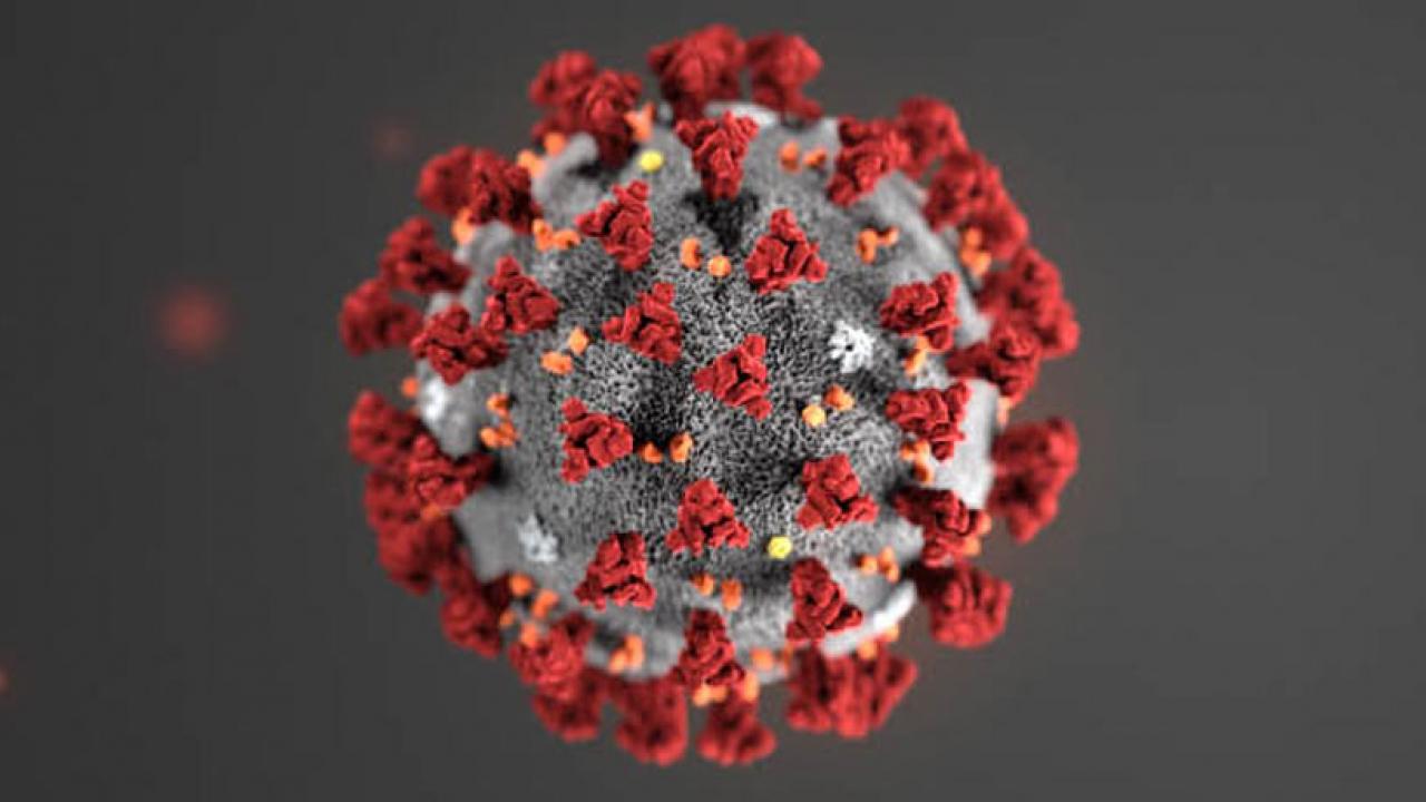 CVD-19 Virus