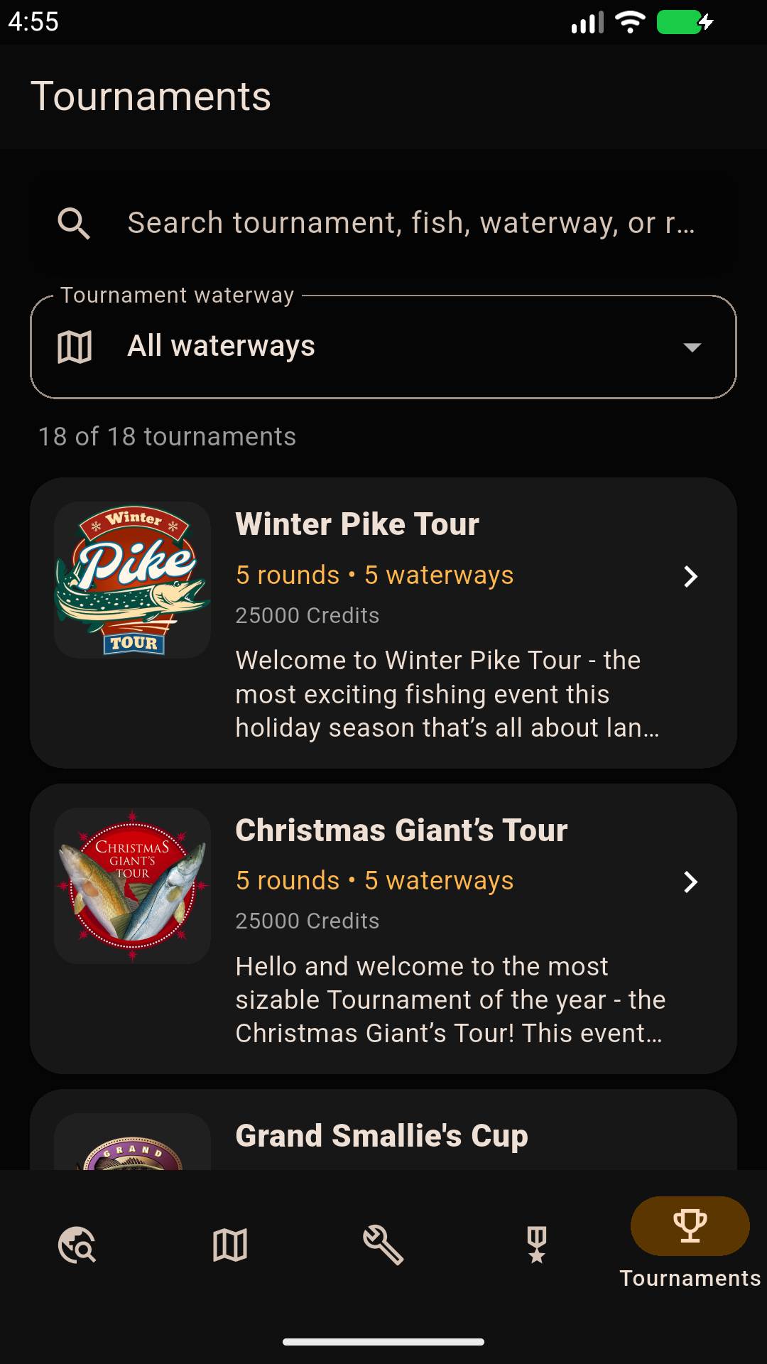 Tournaments guide