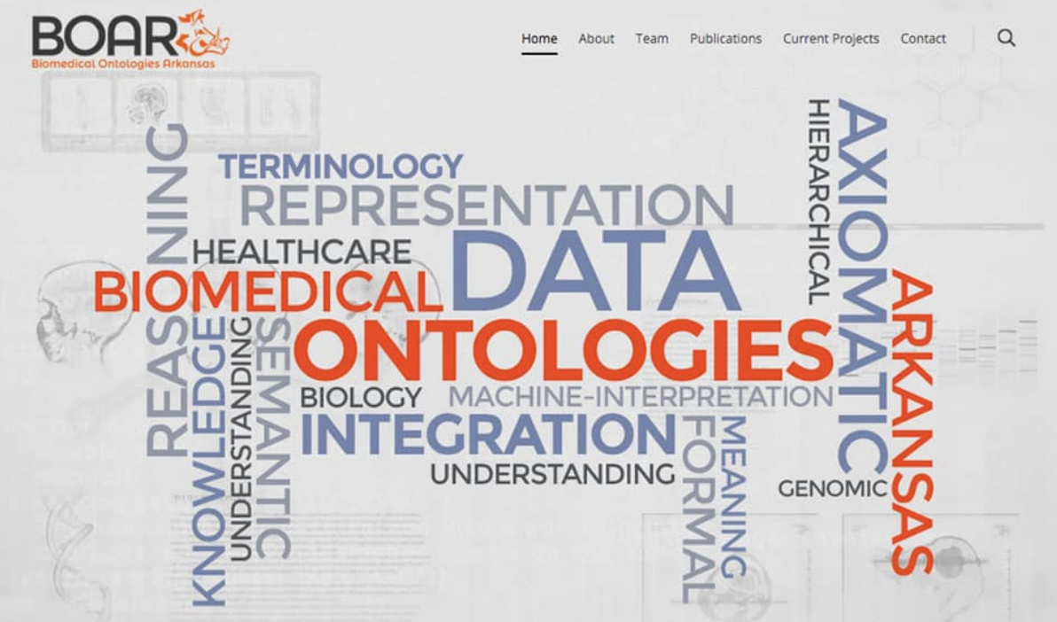 Biomedical Ontologies Arkansas (BOAR)