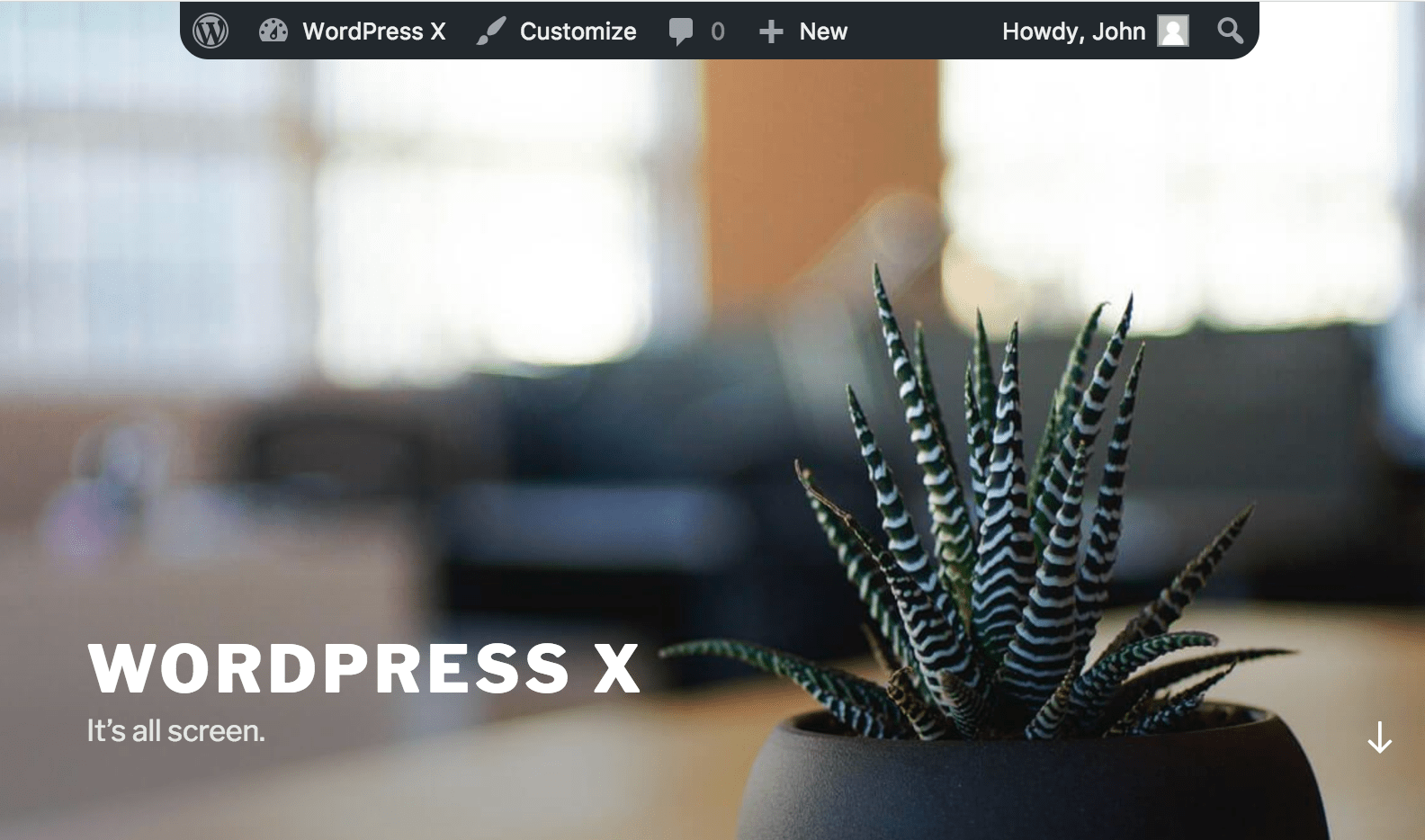 WordPress X