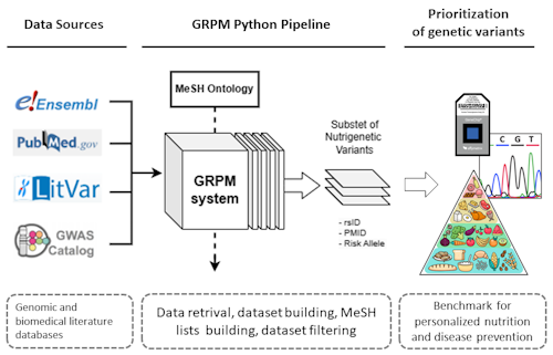 Graphical Abstract