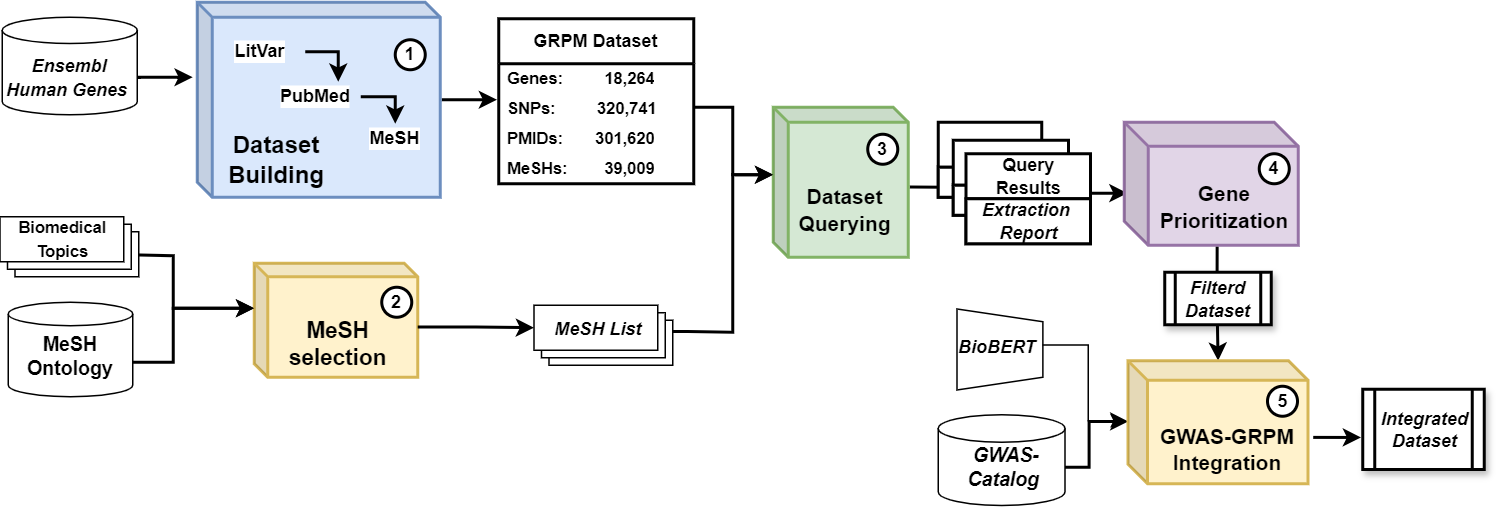 GRPM system: Integrating Genetic Polymorphism Data with PMIDs and MeSH Terms to Retrieve Genes and rsIDs for Biomedical Research Fields. GRPM Dataset: pcg, protein coding genes; rna, RNA genes; pseudo, pseudogenes; in parentheses, dataset shape.