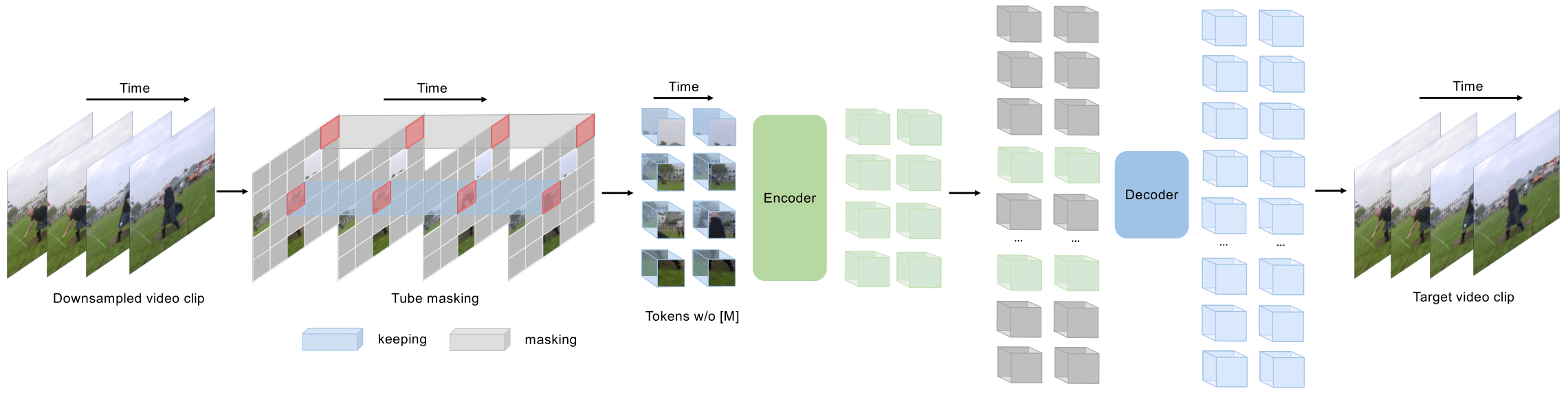 VideoMAE Framework