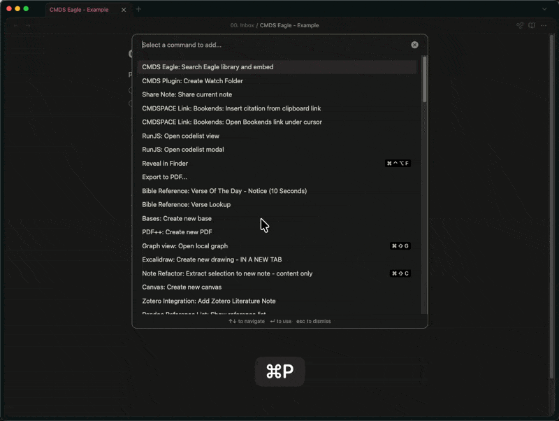 Search and Embed