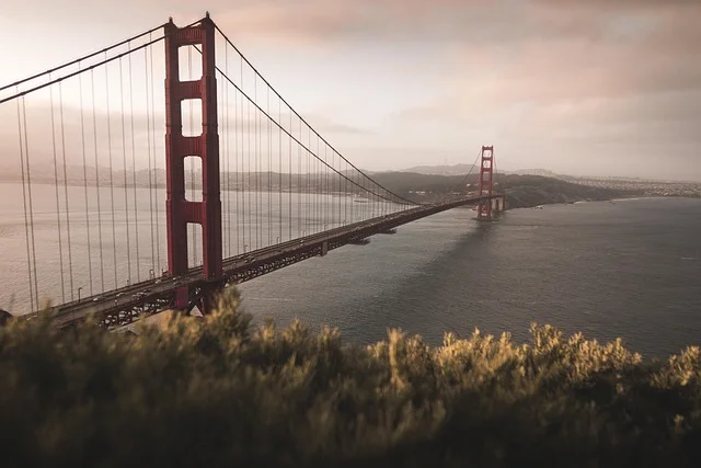 Semiconductor IC design work in the Bay Area