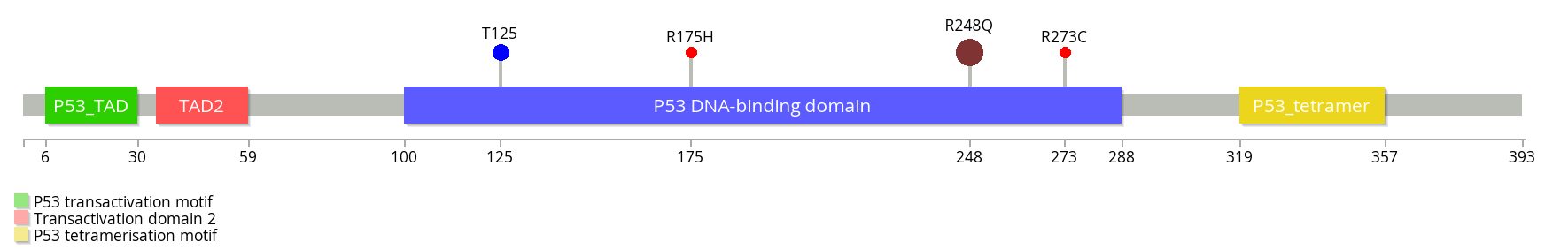 TP53 Lollipop diagram with 5 customized mutations