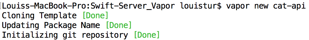 vapor new <project-name>