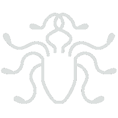medusa logo