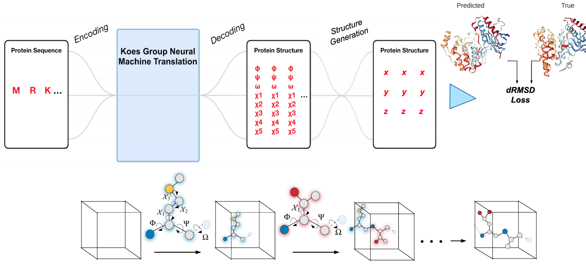 Evaluating The Impact Of Sequence Convolutions And Embeddings On Protein Structure Prediction 7248