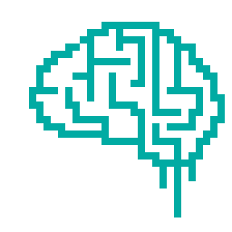 brain