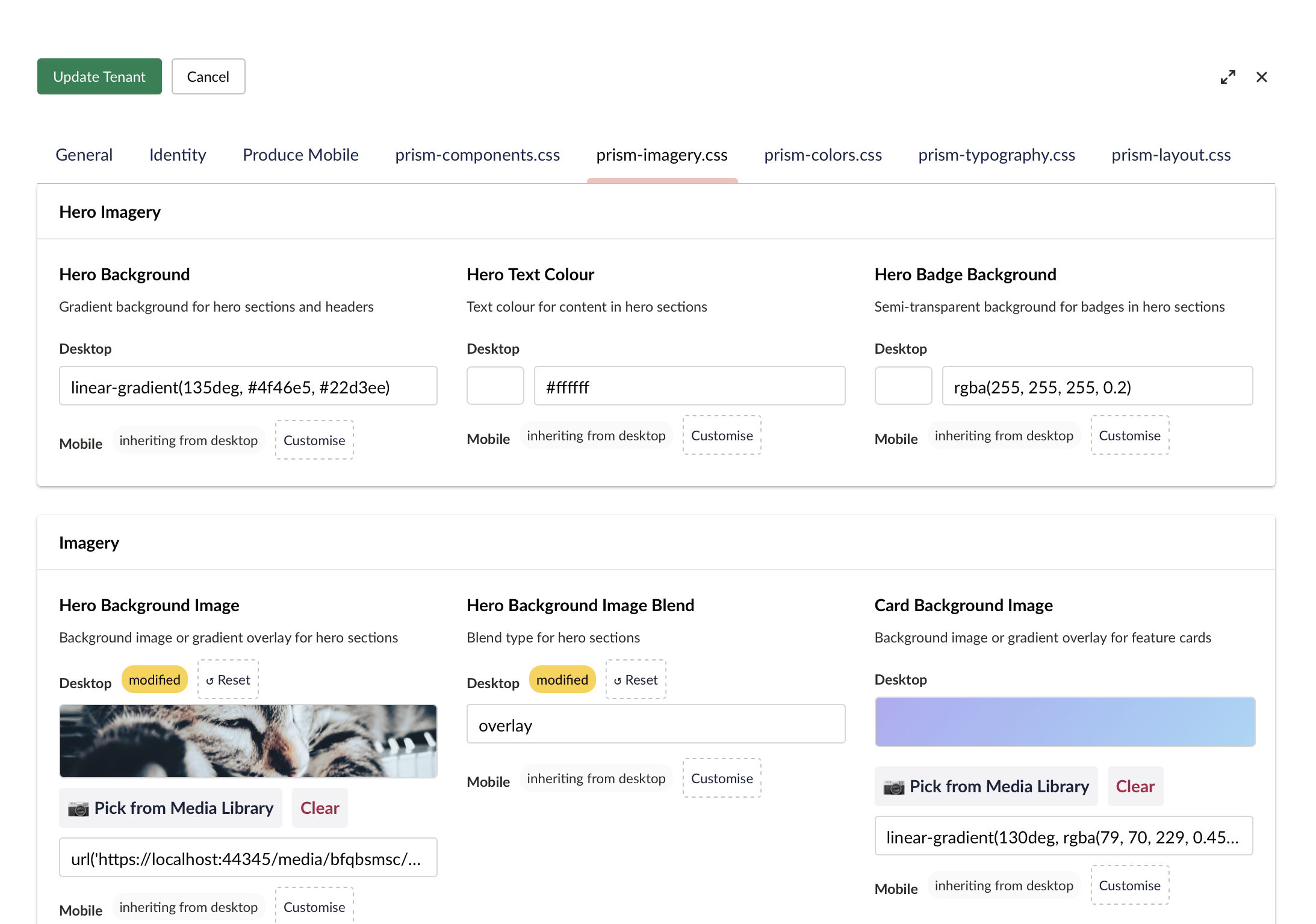 Backoffice branding editor