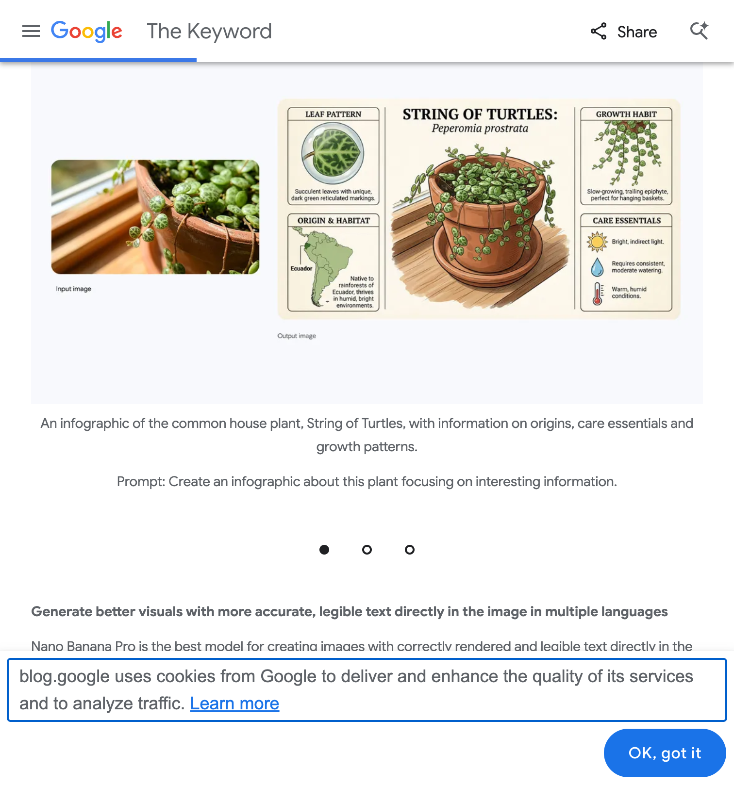 인포그래픽 제작 사례