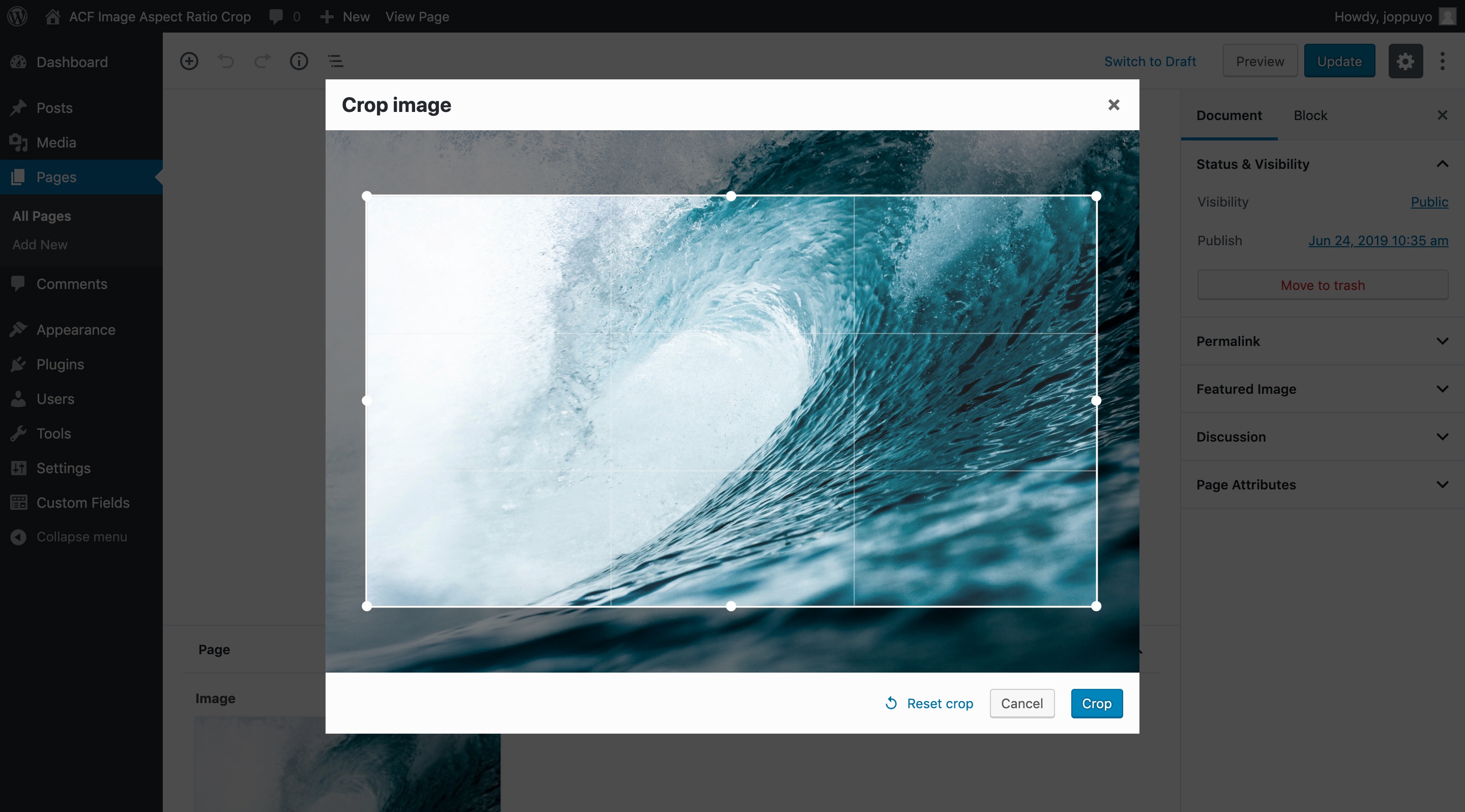 Screenshot of cropping an image