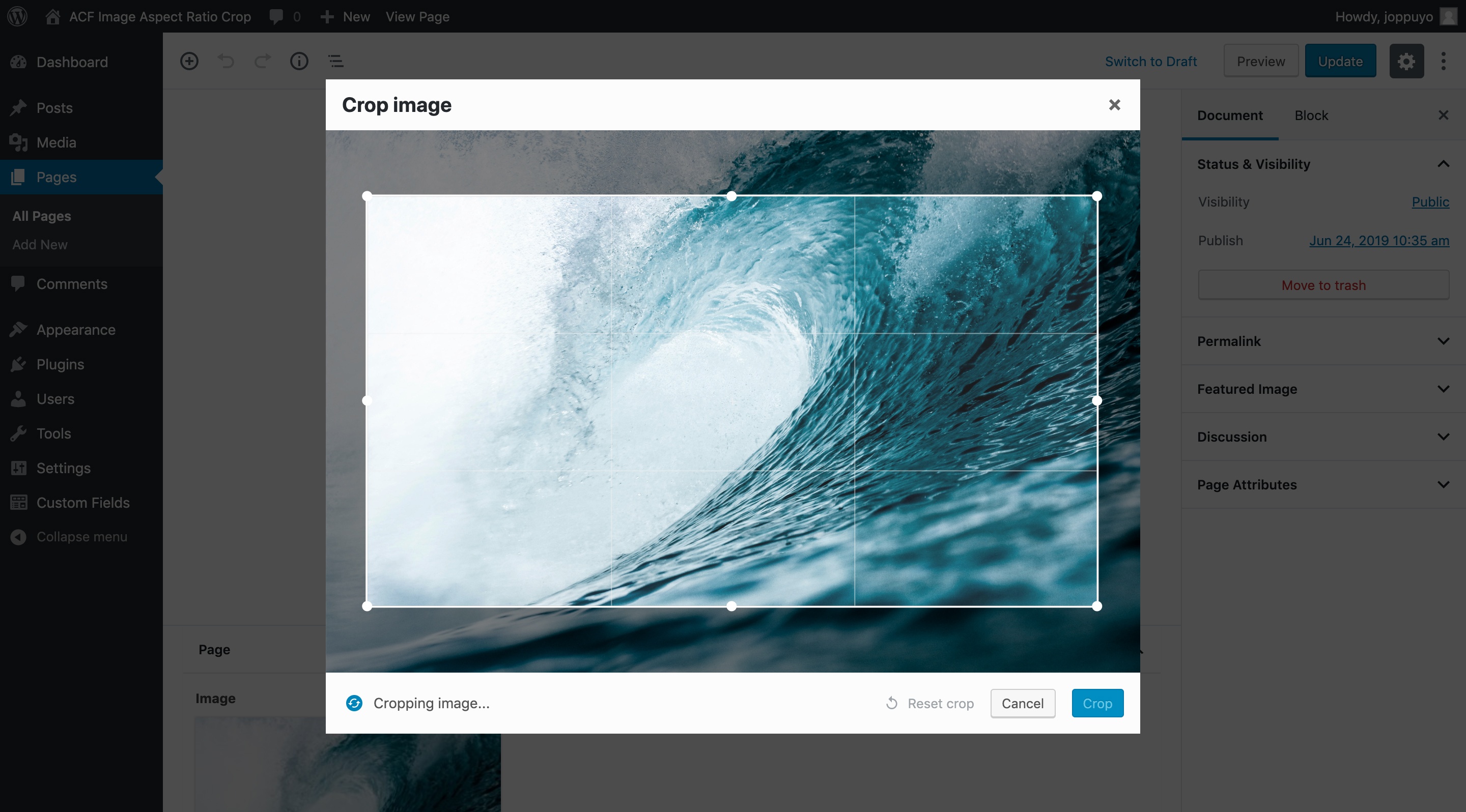 Screenshot of cropping in progress