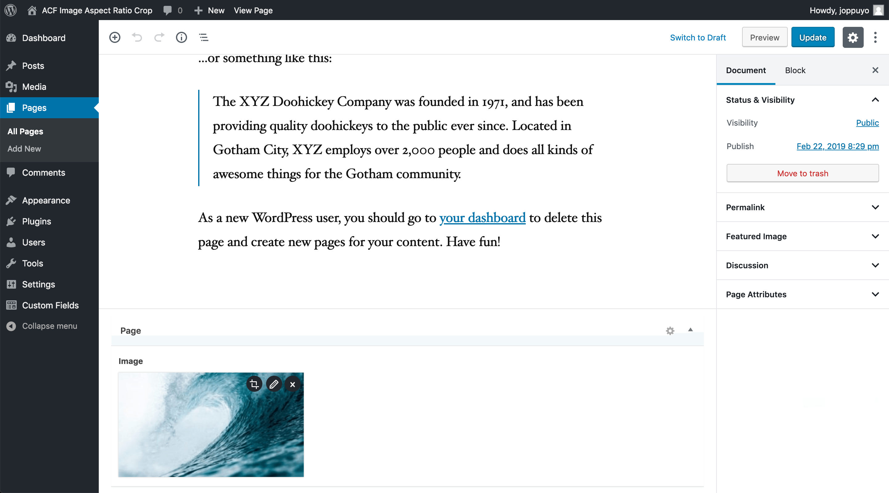 Screenshot of the image field