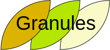 granules-logo