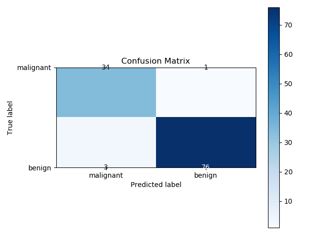 Breast Cancer Confusion Matrix alt text