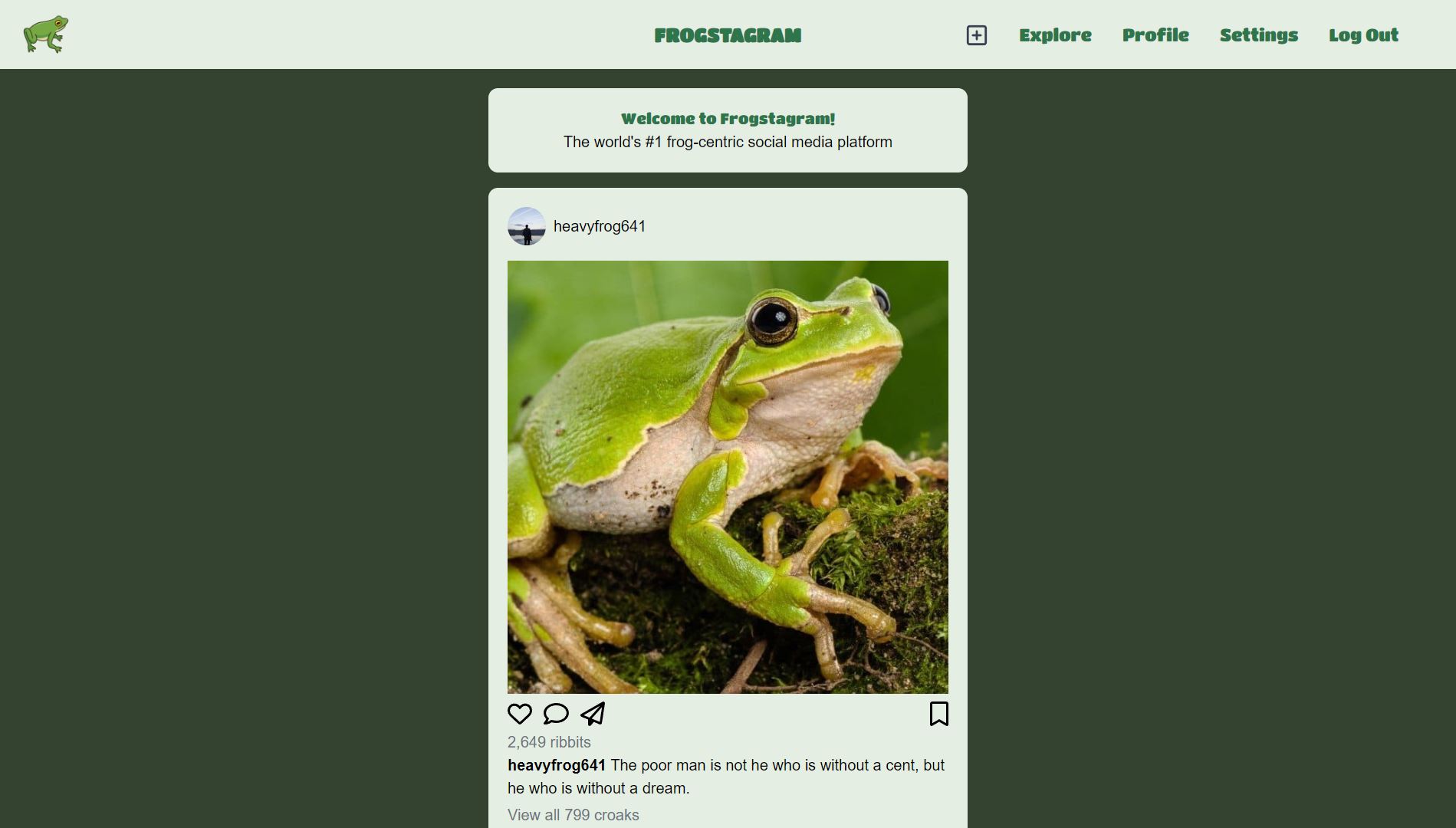 Homepage of Frogstagram