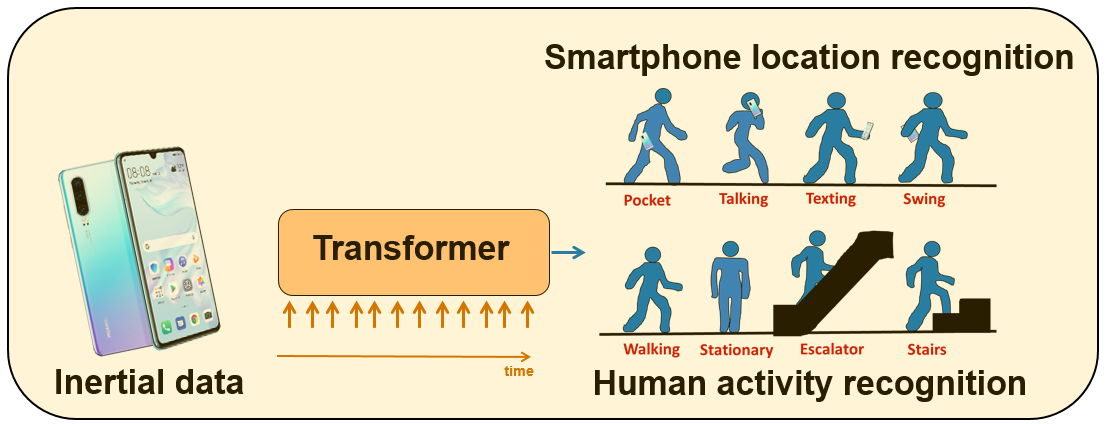 Inertial-based Activity Recognition with Transformers 