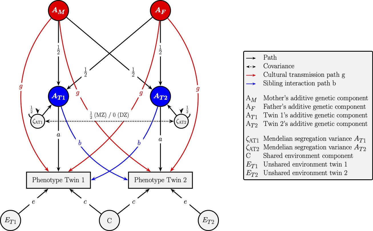 PathDiagram