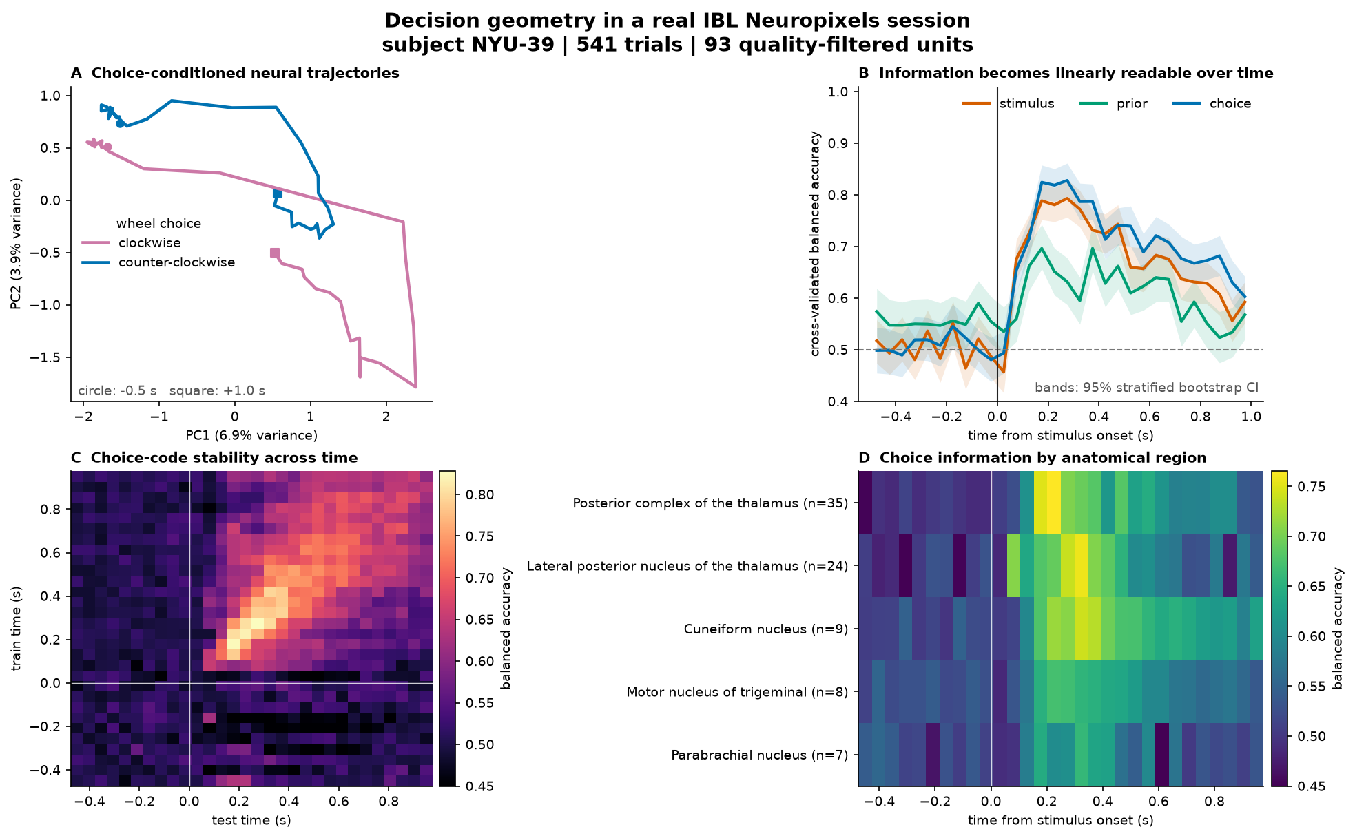 Decision Geometry analysis dashboard