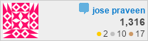 StackOverflow Profile