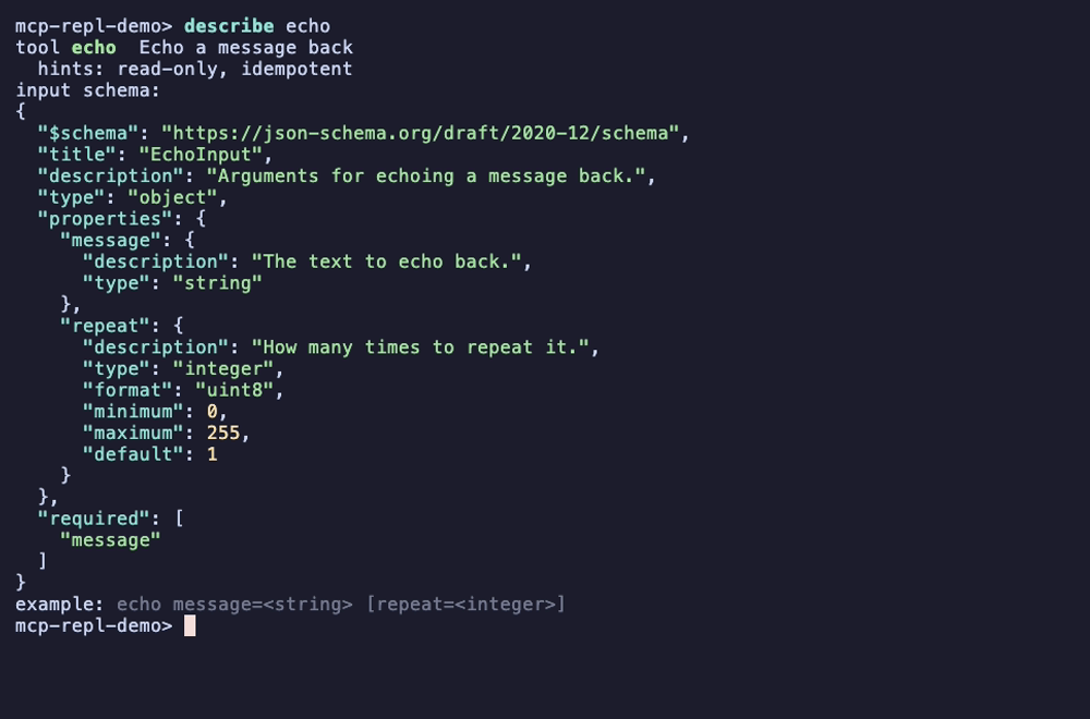 describe echo, showing the tool's annotations, its input schema with per-field descriptions, and an example invocation