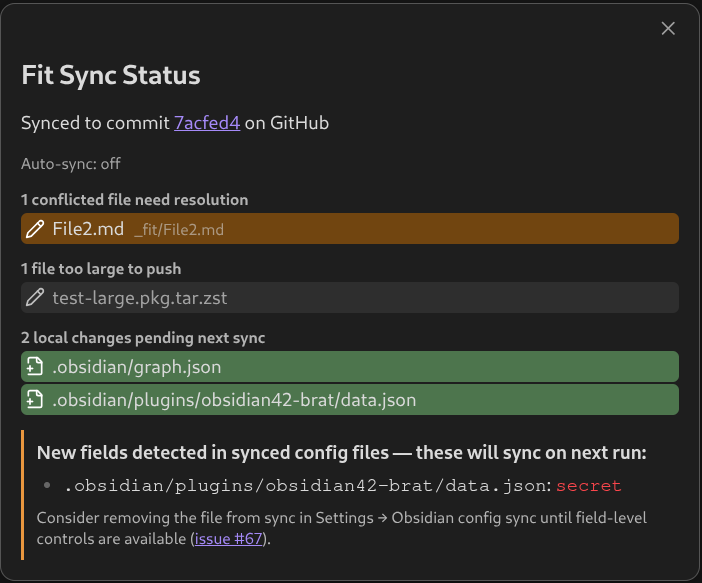 Fit Sync Status modal preview showing conflict, oversized file, and sync scope note