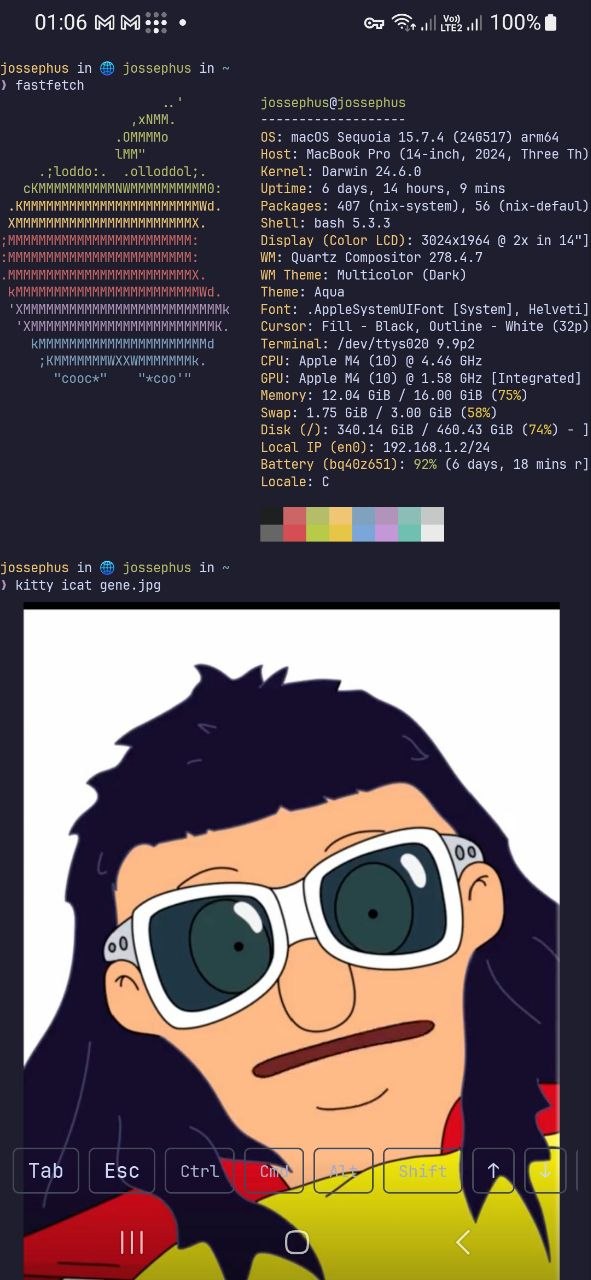 ./assets/sample-3.jpg