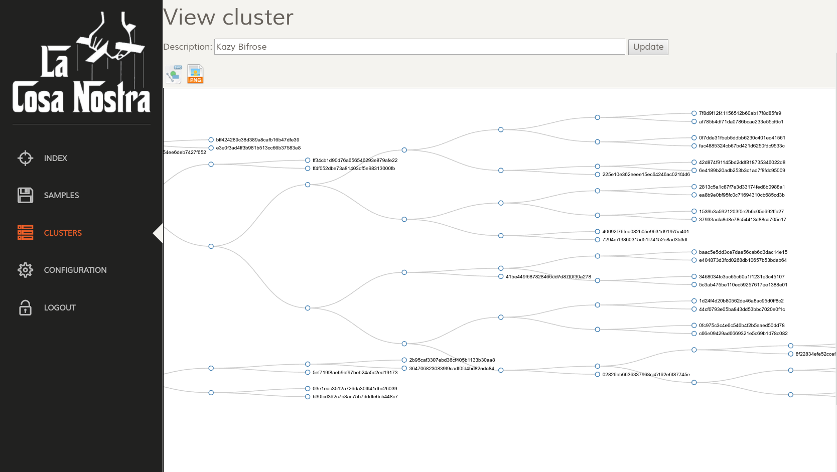 Um cluster de Kazy/Bifroses