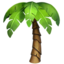 palm_tree