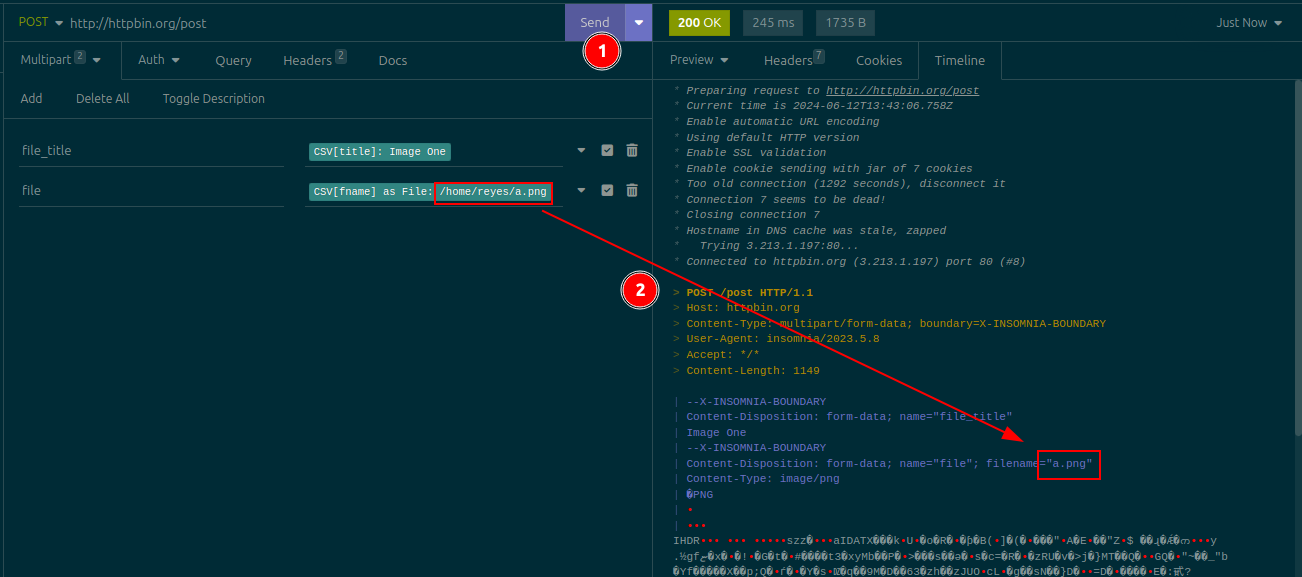 a screenshot of the Insomnia timeline showing a request that includes a binary file, which was sent manually