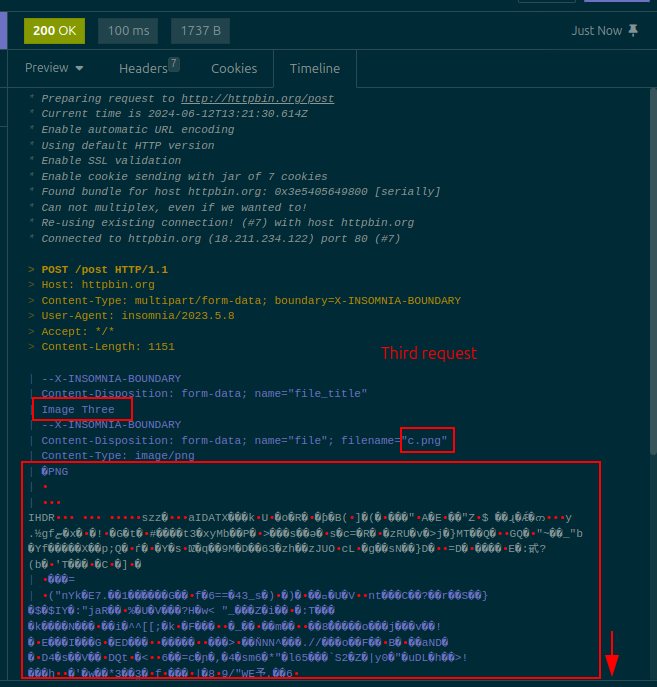 a screenshot of the Insomnia timeline showing a request that includes a binary file, which was sent using the Batch Requests functionality