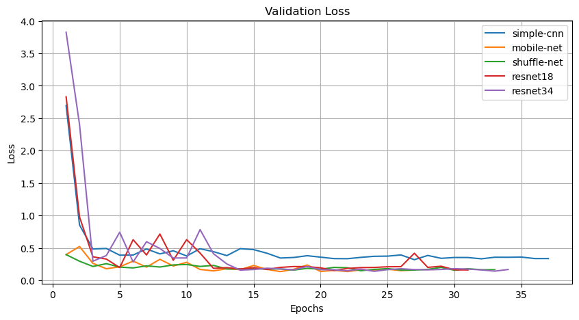 Validation Loss