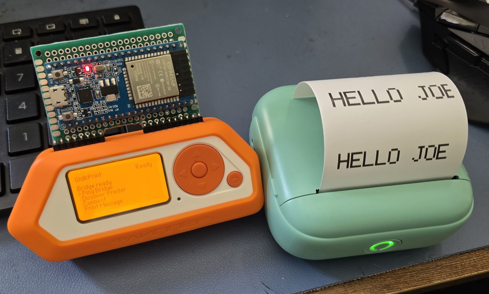 Flipper module printer