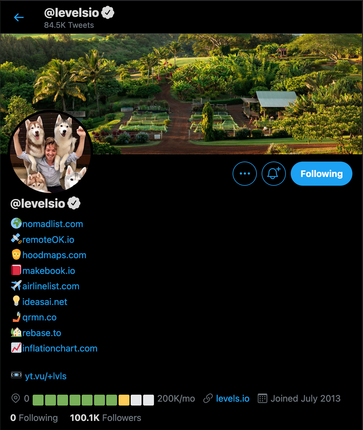 screenshot of @levelsio twitter profile