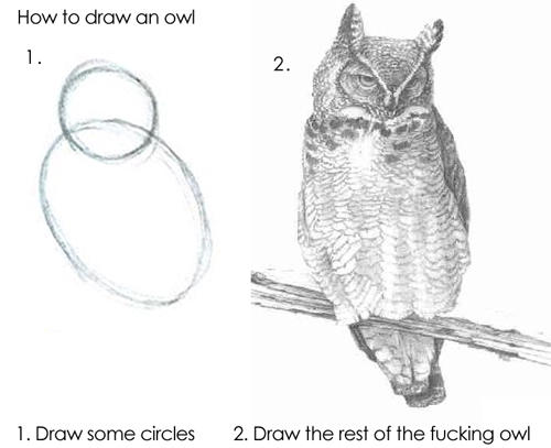 How to draw an owl: Step 1 reads "Draw some circles" showing two overlapping ovals representing the head and body shape of an owl. Step 2 reads "Draw the rest of the fucking owl" showing a completed pencil drawing of a horned owl on a branch