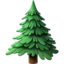 evergreen_tree