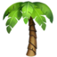 palm_tree