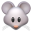 mouse