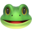 frog