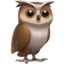 owl