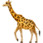 giraffe_face