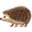 hedgehog