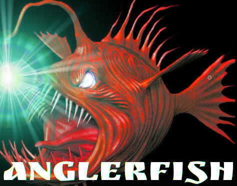 anglerfish