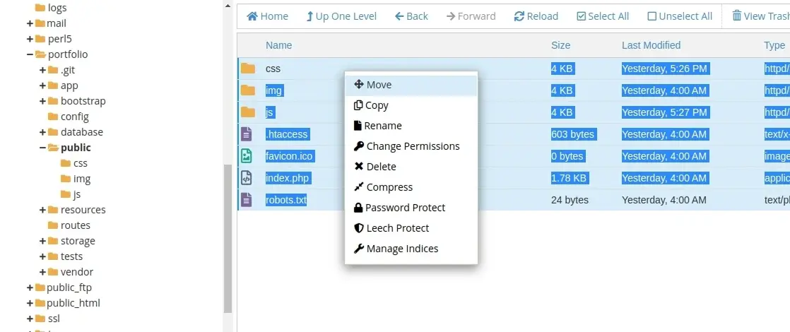 Ejemplo del menĂş para mover archvios dentro de cPanel